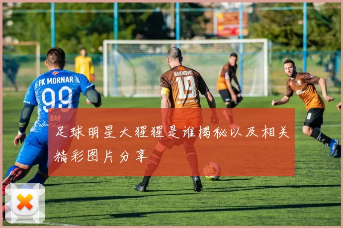 足球明星大猩猩是谁揭秘以及相关精彩图片分享