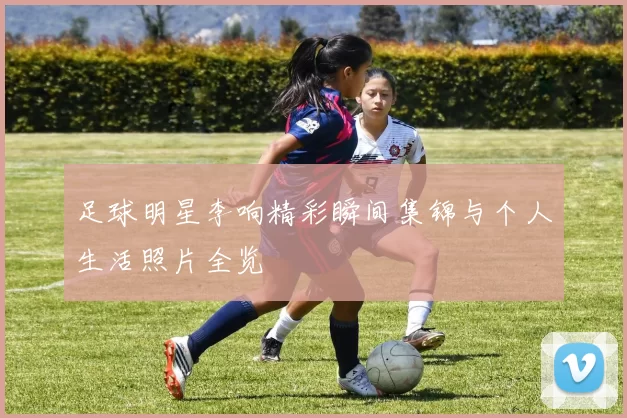 足球明星李响精彩瞬间集锦与个人生活照片全览